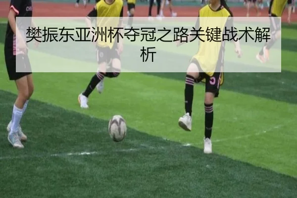 樊振东亚洲杯夺冠之路关键战术解析